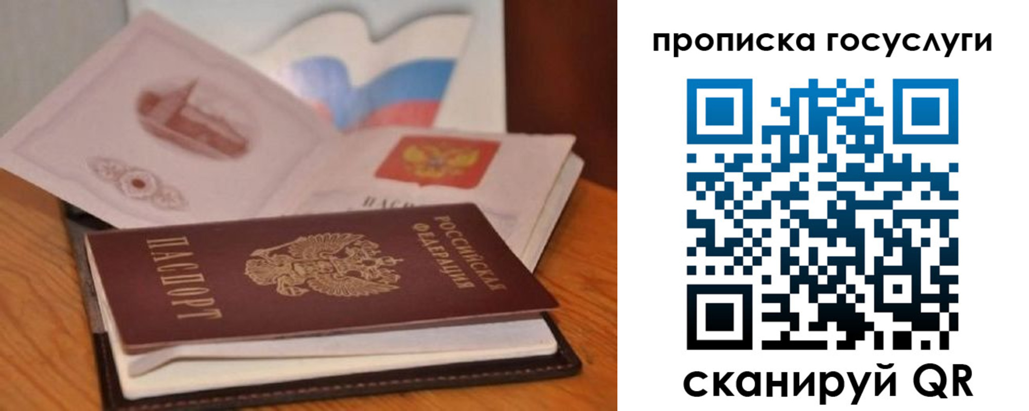 прописка в квартире в Мурманской области